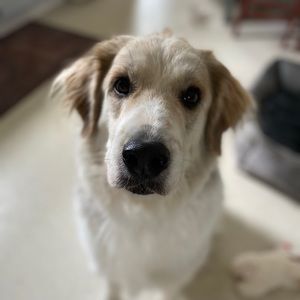 Meet your Posher, Layne